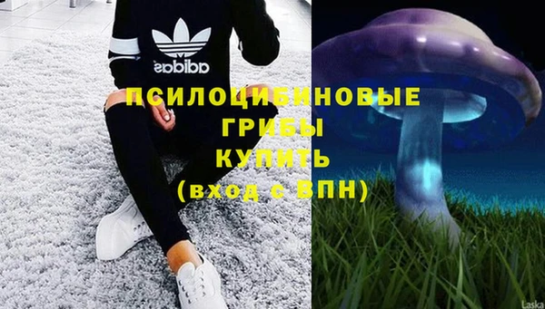 сатива Абдулино